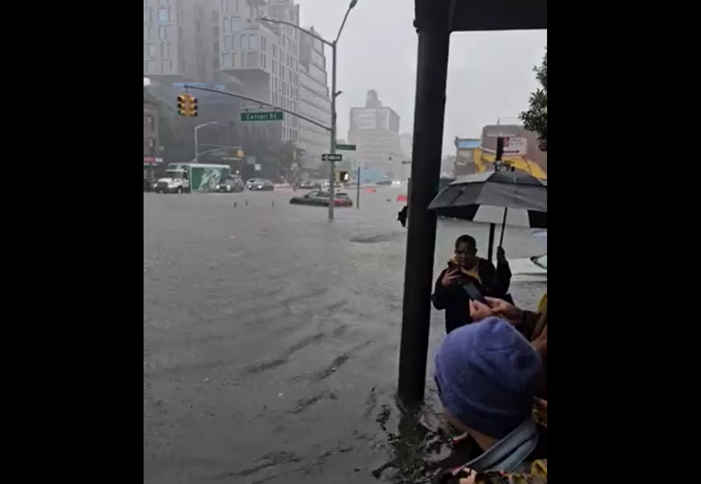 Sea Lion Escapes from Flooded Enclosure at Central Park Zoo, New York