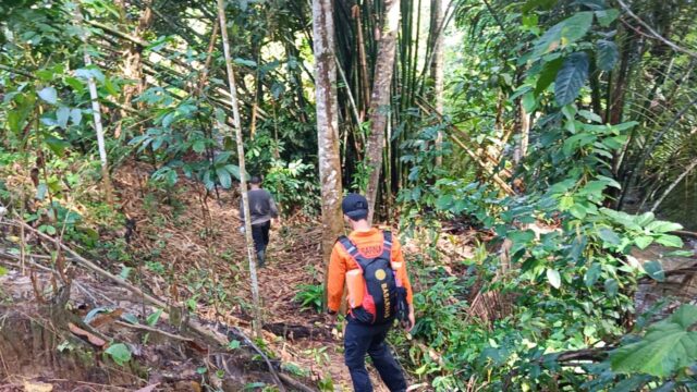 Lansia Hilang di Kebun