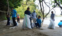 Mangrove PT Vale
