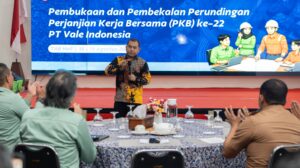 PKB PT Vale