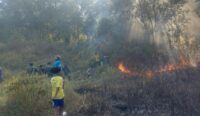 Kebakaran lahan Poso